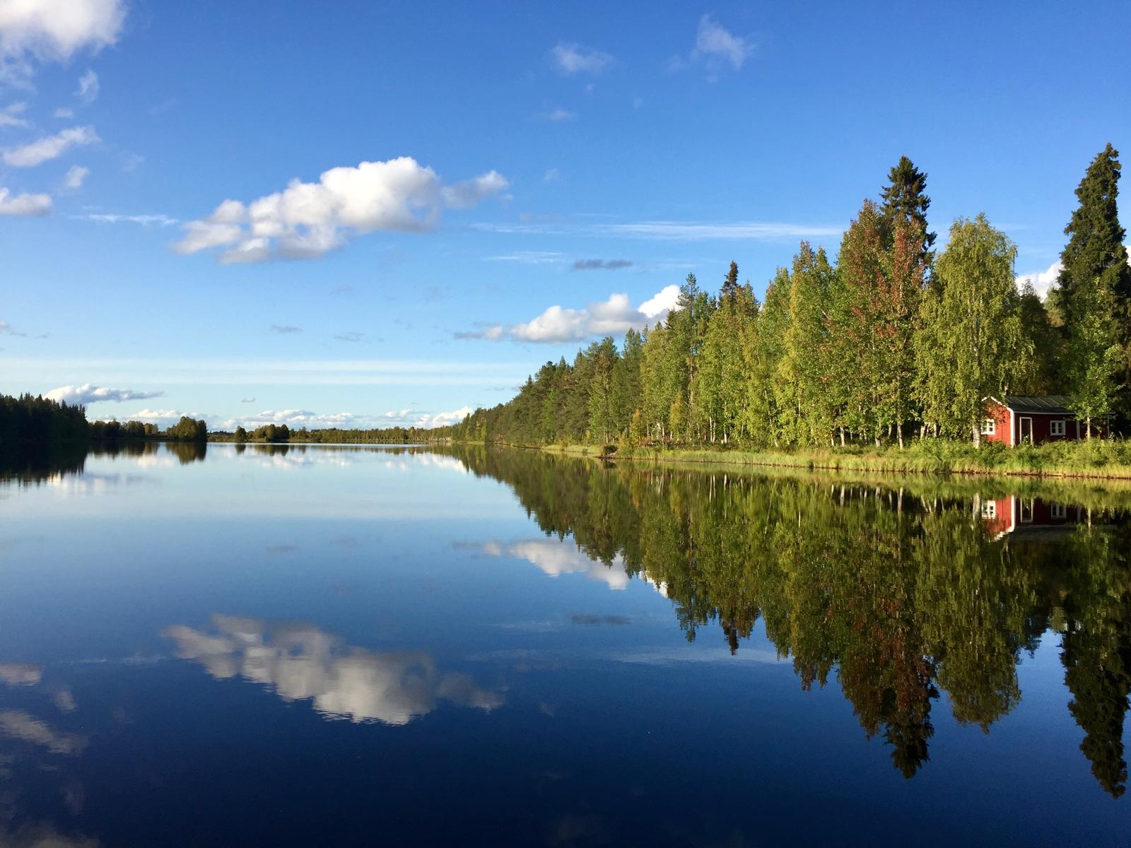 Kitinen kesällä (kuva: Liisa Kuittinen)